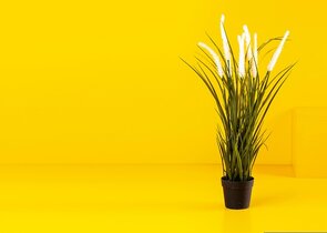Warum steigen die Immobilienpreise in deutschen Großstädten weiter?